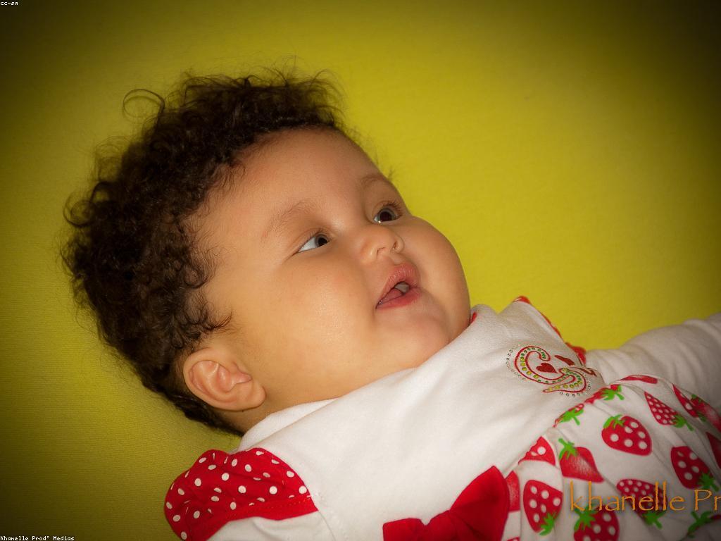 វិដេអូឌីហ្សាញ: របៀបបង្កើត និងបង្ហាញវីដេអូដ៏ស្រស់ស្រាយ