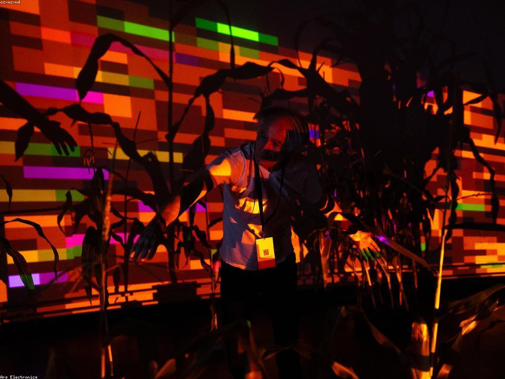 ឥទ្ធិពលនៃស្លុតបច្ចេកវិទ្យានៅក្នុងសង្គម